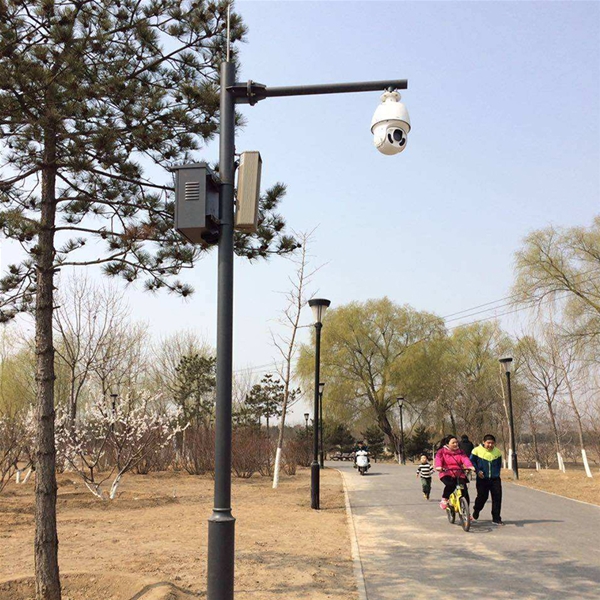 石家庄路灯监控杆-LX-03